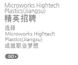 Microworks 精英招聘
