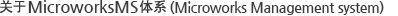 关于MicroworksMS体系 (Microworks Management System)